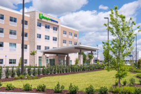 Holiday Inn Express & Suites - Tampa North - Wesley Chapel, an IHG Hotel